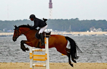 Jumping in Arcachon: Saturday, horses will jump on Pereire beach sand

