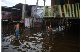 Weather severe. Brazil: At least 33 people have died in heavy rains in Northeast Brazil

