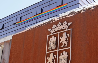 Pollán asks the PSOE to withdraw the rainbow flag from Parliament