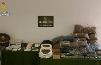 13 people arrested in Manzanares and La Solana for drug trafficking within the Bocalba operation