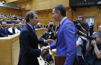 Feijóo rectifies Casado by requesting an express pact from the Government to withdraw "diminished" from the Constitution