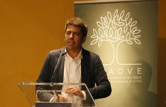 Mazón: «Our challenge is to position Alicante extra virgin olive oil as an international reference»