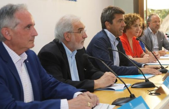 The Diputación de Alicante and the NGOs detail the destination of the million euros for Ukraine