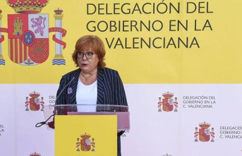 Sánchez and Puig dismiss as Government delegate in...