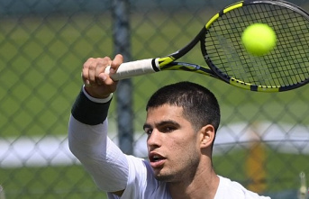 Schedule and where to see Alcaraz - Struff live