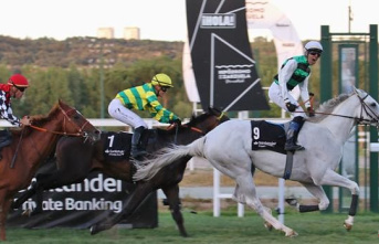 White King and Super Trip ce crown with all deserved in the Derby and in the Spanish Oaks