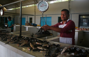Pair's disappearance from Brazil's Amazon is tied to the 'fish mafia.
