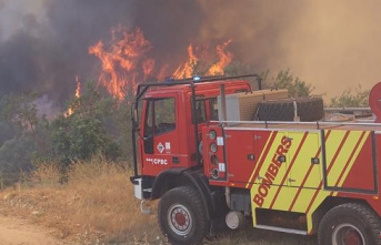 Fire in Caudiel: the "good evolution" of the fire leads to the demobilization of the UME