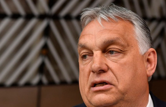 Hungary is accused of discrimination in relation to its discount fuel policy
