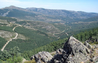 The Sierra del Rincón Biosphere Reserve grows with Madarcos: six towns and 16,000 protected hectares