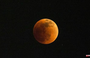 This was the morning's lunar eclipse. Here are six ways to get it right.
