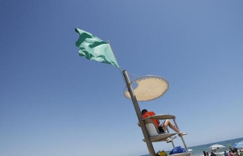 This will be the new flags for colorblind people on the beaches of Valencia
