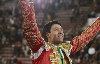 Outrage in Mexican bullfighting: "They are taking...