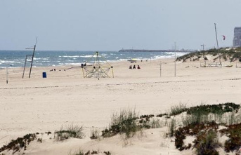 The presence of a shark forces a ban on bathing on a beach in Valencia
