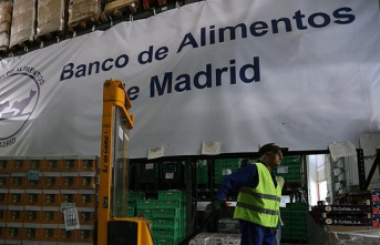 For the first time, the Madrid Food Bank breaks its oil stock