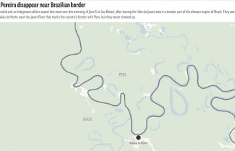 Brazil expert and British journalist still missing from Amazon

