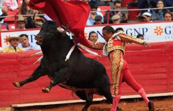 A judge indefinitely prohibits bullfights in Plaza México