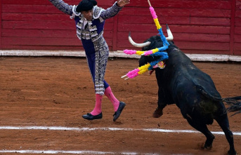 Mexico City bullfighting ban extended indefinitely...