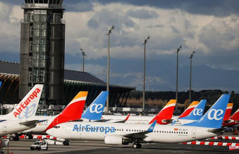 After obtaining the SEPI endorsement, Iberia will purchase 20% of Air Europa
