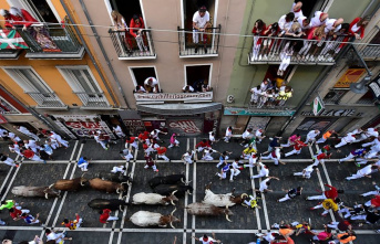 In the 4 days of Pamplona bull race festival, there are no gorings yet