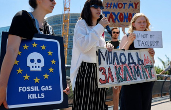 EU lawmakers back sustainable gas and nuclear energy