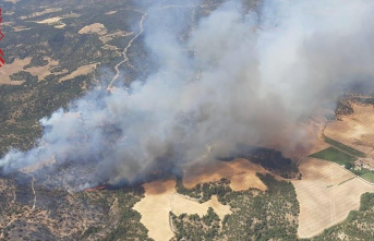 Fire in Venta del Moro: the Generalitat Valenciana requests the intervention of the UME in the area