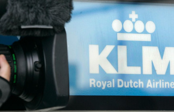 KLM, a Dutch airline, was sued for alleged greenwashing