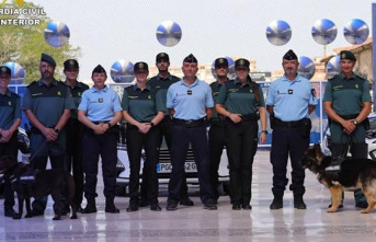 The Civil Guard of Alicante is reinforced with the...