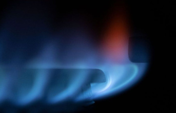 Gas supply: Uniper employee representatives for federal...