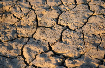 Fact check: Climate change: Why historic droughts...