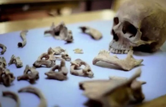 England: DNA test reveals dark secret of human bones...