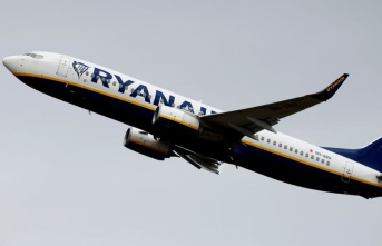 Tourism: Ryanair wants to raise fares