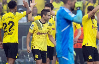Champions League: BVB delights Haller: sovereign victory...