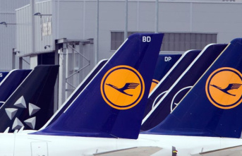 Air traffic: Lufthansa cancels 800 flights on Friday...