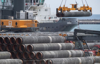Gas pipeline: FDP parliamentary group wants "dismantling"...