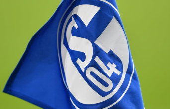 New austerity measures: Schalke wants to be prepared...