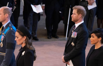Prince Harry and Duchess Meghan: No peace before returning...