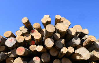 Climate: More wood is burned: This damages health...