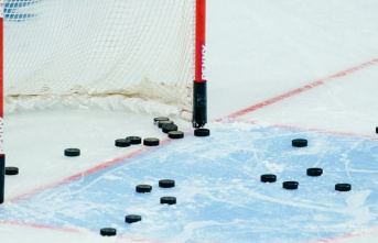 Ice hockey: Grizzlys Wolfsburg with first victory...