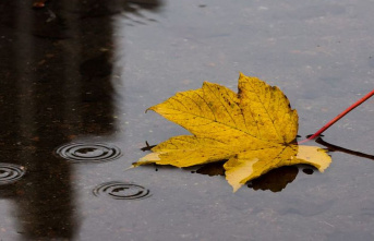Weather: Wet and cold weather expected in NRW