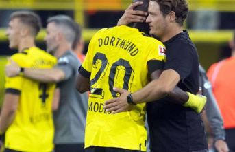 Bundesliga: With a tailwind: BVB takes heart for the...