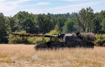 208th day of war: Bundeswehr sends four more self-propelled...
