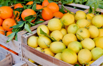 Tesco: Surprised customers: Oranges and lemons at...