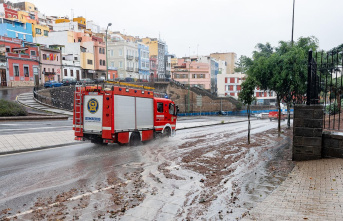 Heavy rain: More than 250 flights in the Canary Islands...