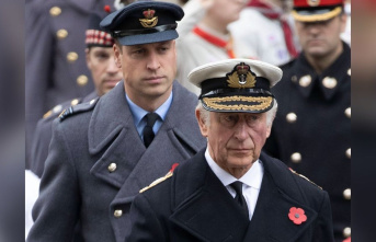 Prince William: King appoints him Prince of Wales