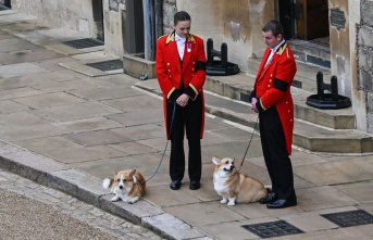 Queen Elizabeth II: Corgis awaited her at Windsor...