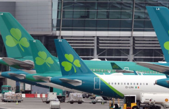 Air traffic: Long queues: Aer Lingus cancels flights...