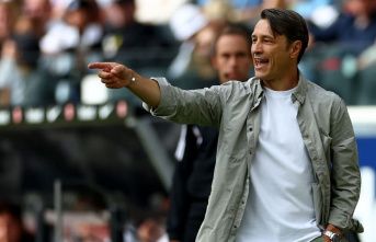 Backing for Wolfsburg coach Kovac: "No doubts...