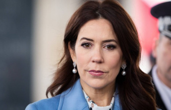 Crown Princess Mary of Denmark: Her reaction to the...