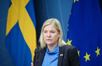 Parliament: Sweden votes: Clearer conditions in Stockholm?